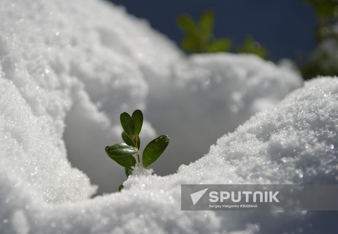 Winter in Crimea