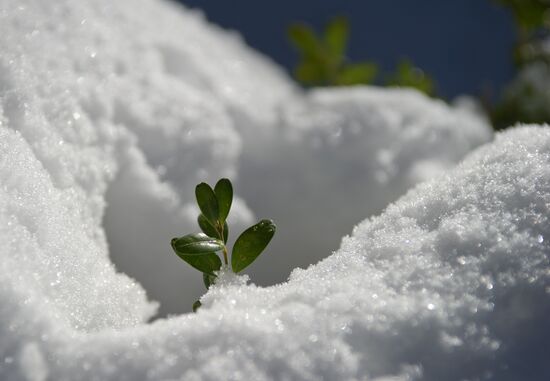 Winter in Crimea