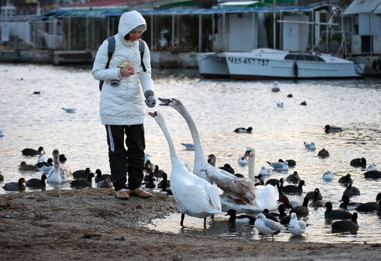 Winter in Crimea