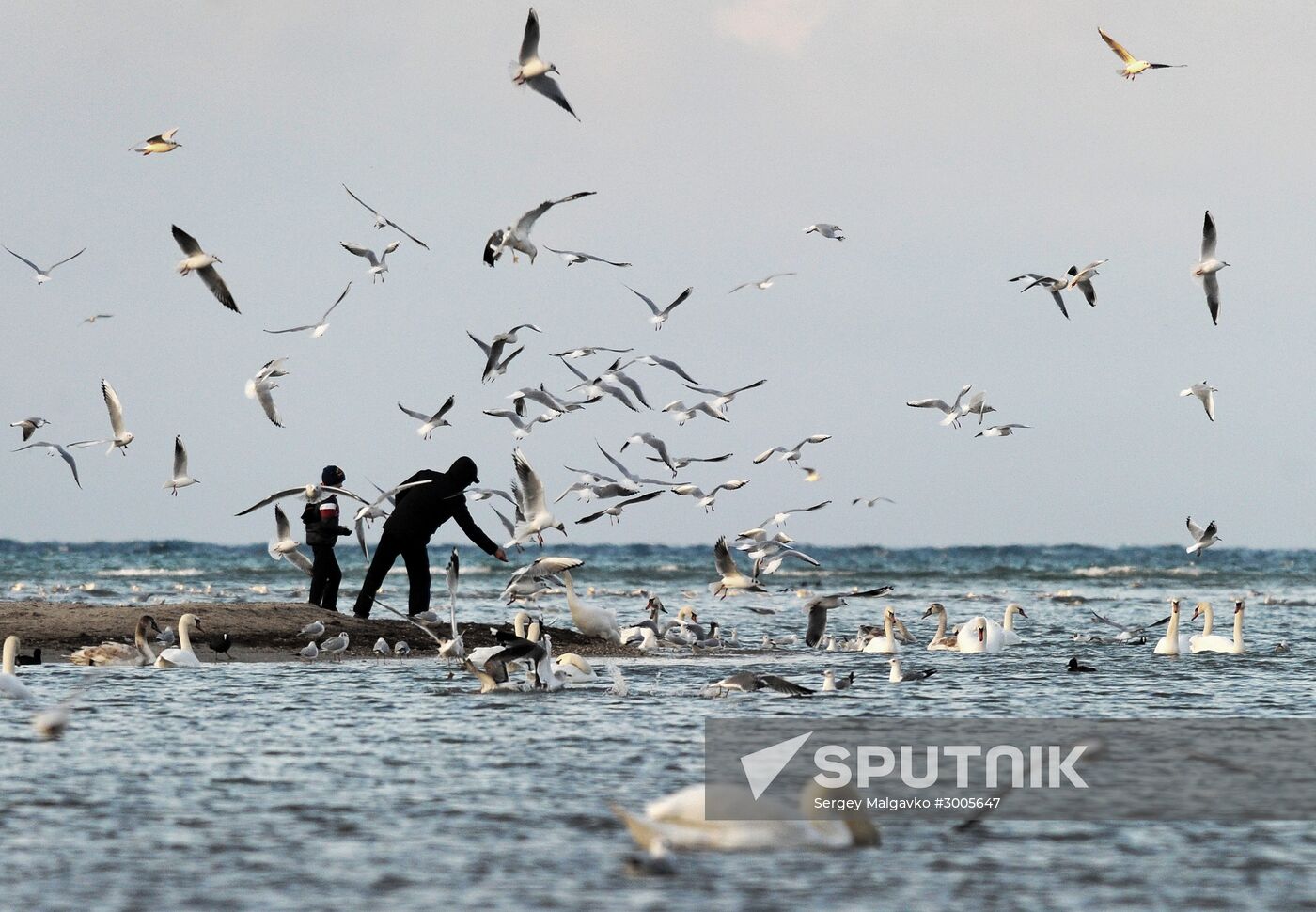 Winter in Crimea