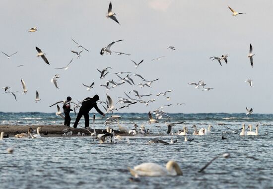 Winter in Crimea