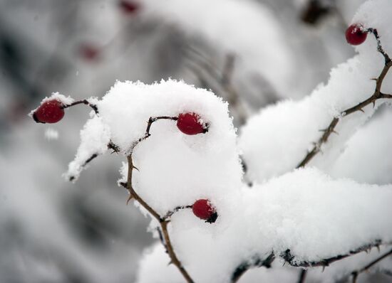 Winter in Crimea