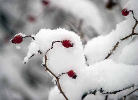 Winter in Crimea
