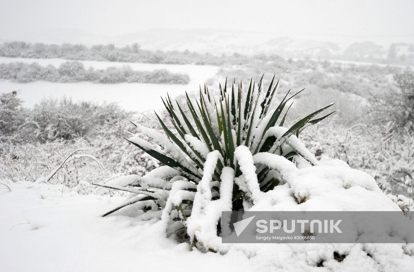 Winter in Crimea