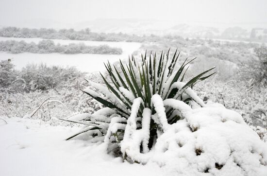 Winter in Crimea