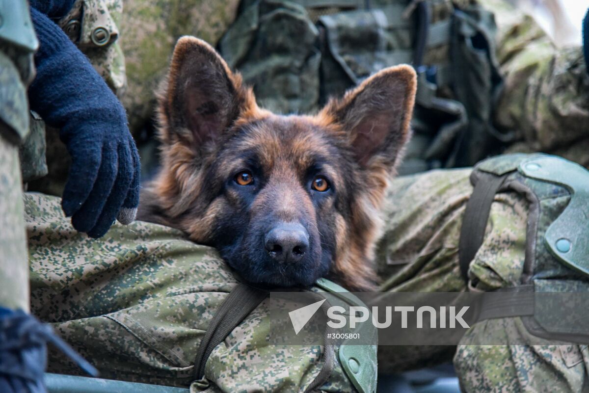 Demining operation in eastern Aleppo