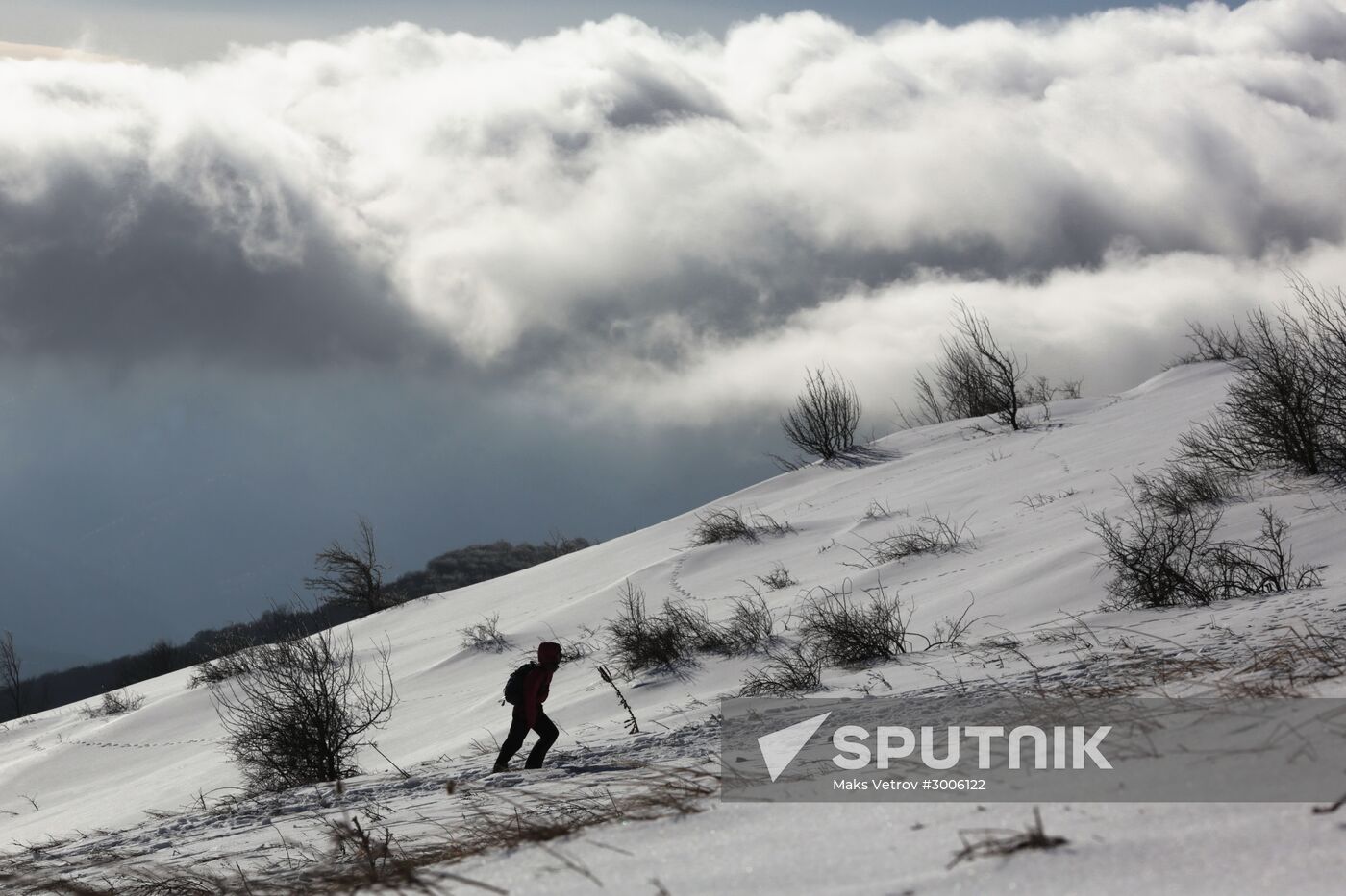 Winter vacations in Crimea