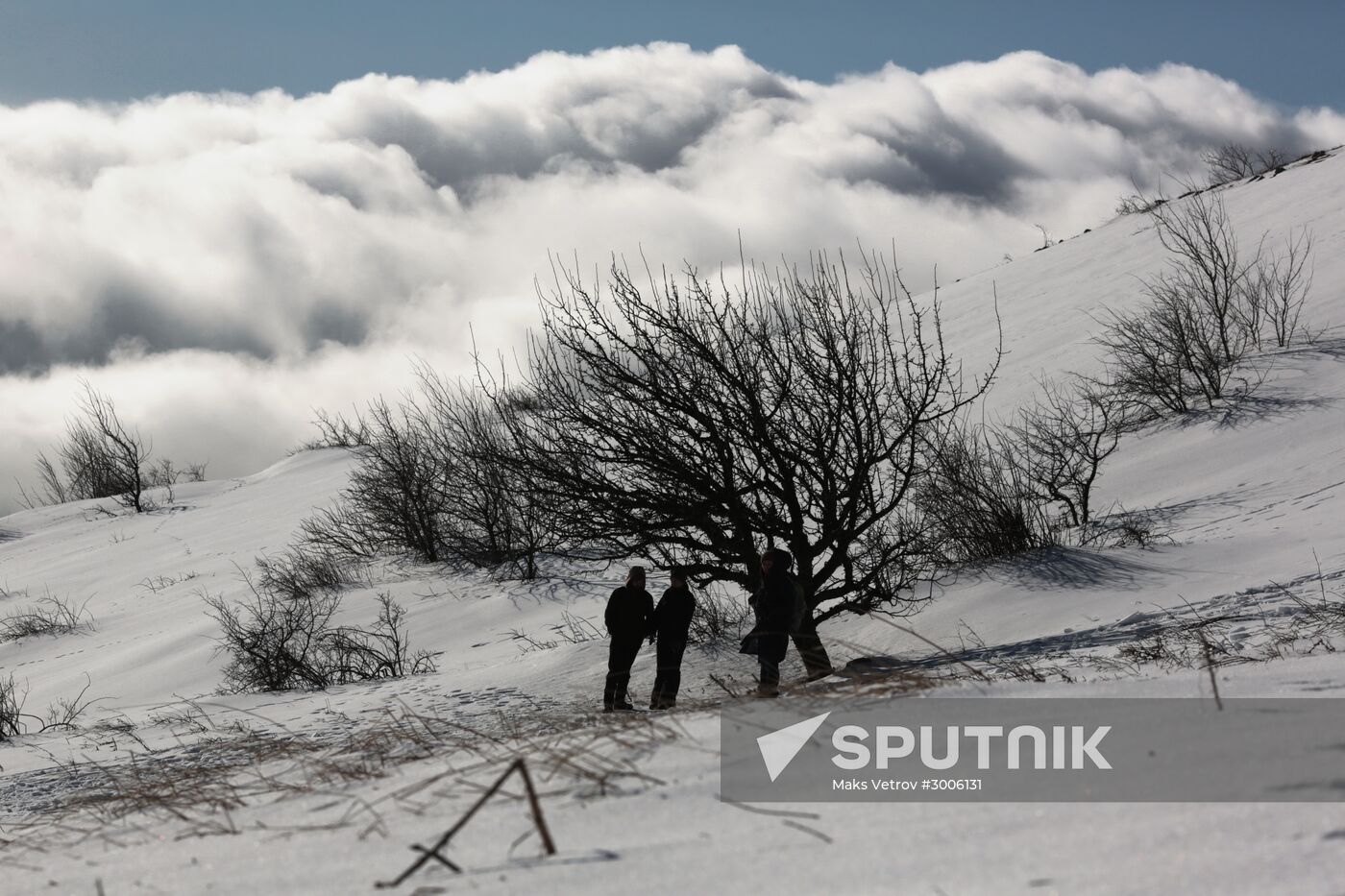 Winter vacations in Crimea
