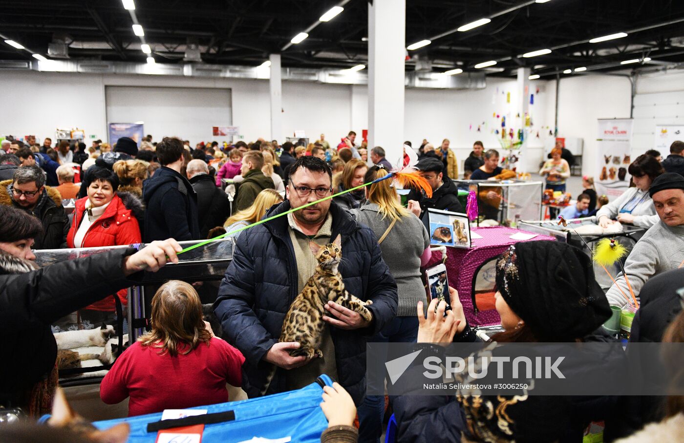 KoShariki Cat Show and kitten sale in Moscow