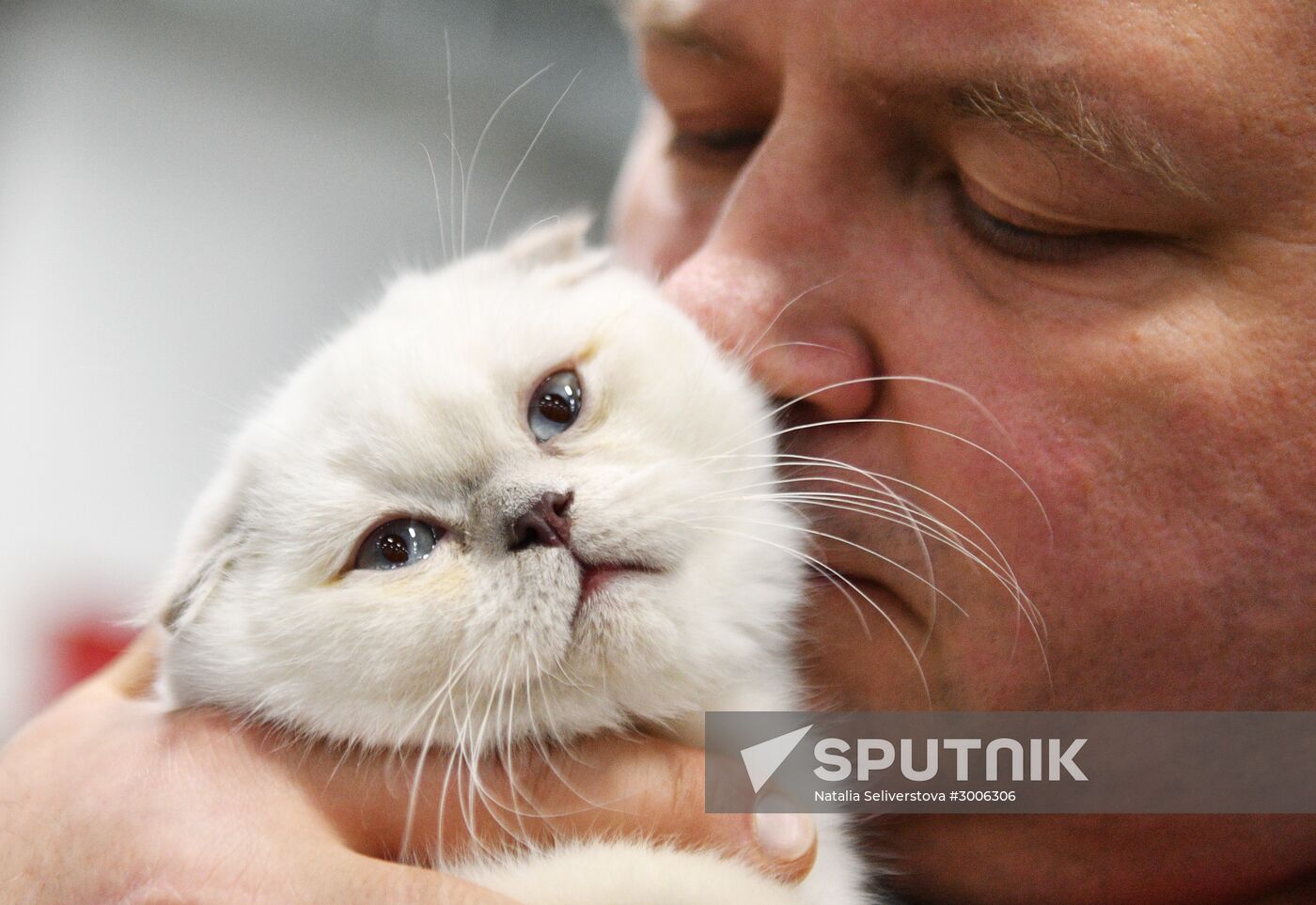 KoShariki Cat Show and kitten sale in Moscow