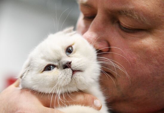 KoShariki Cat Show and kitten sale in Moscow