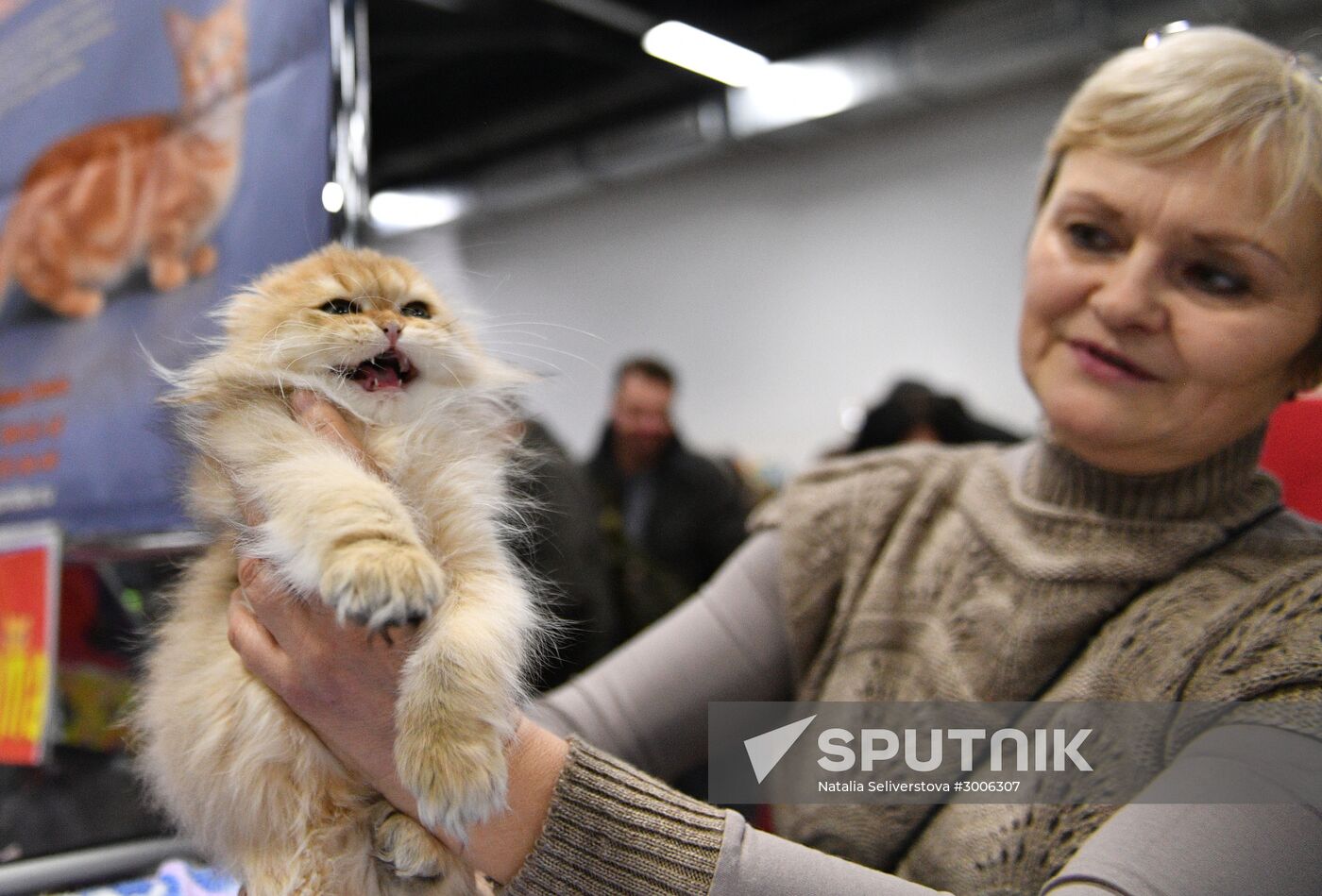 KoShariki Cat Show and kitten sale in Moscow
