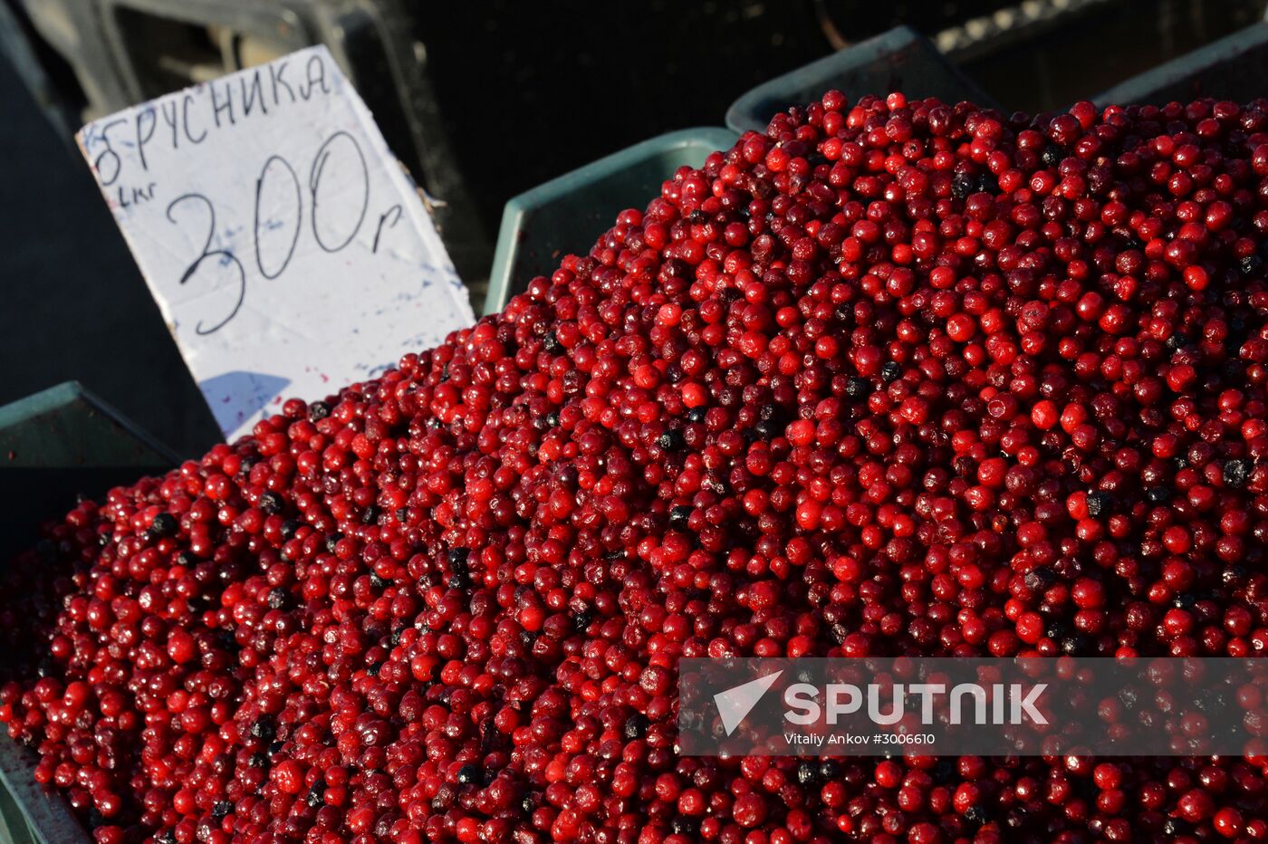 Christmas food fair in Vladivostok