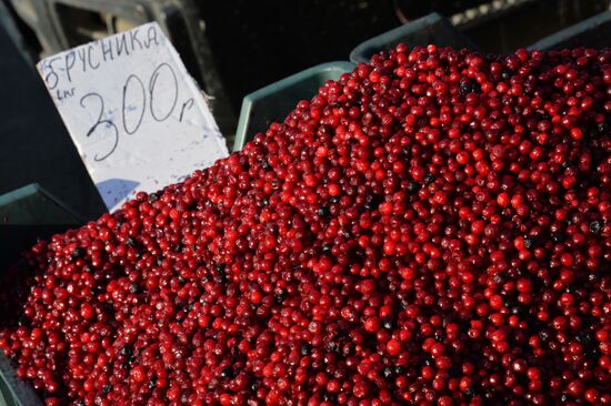 Christmas food fair in Vladivostok