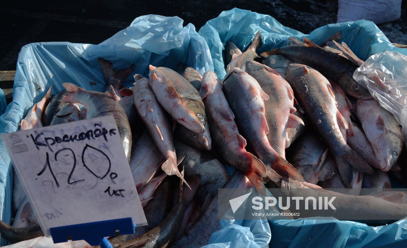 Christmas food fair in Vladivostok