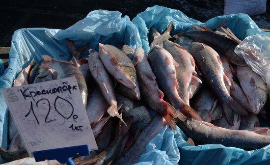 Christmas food fair in Vladivostok