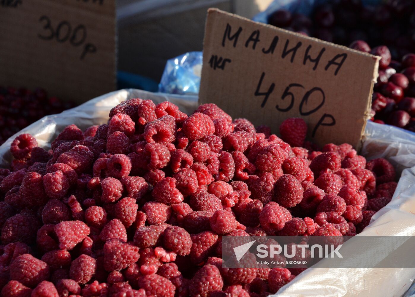 Christmas food fair in Vladivostok