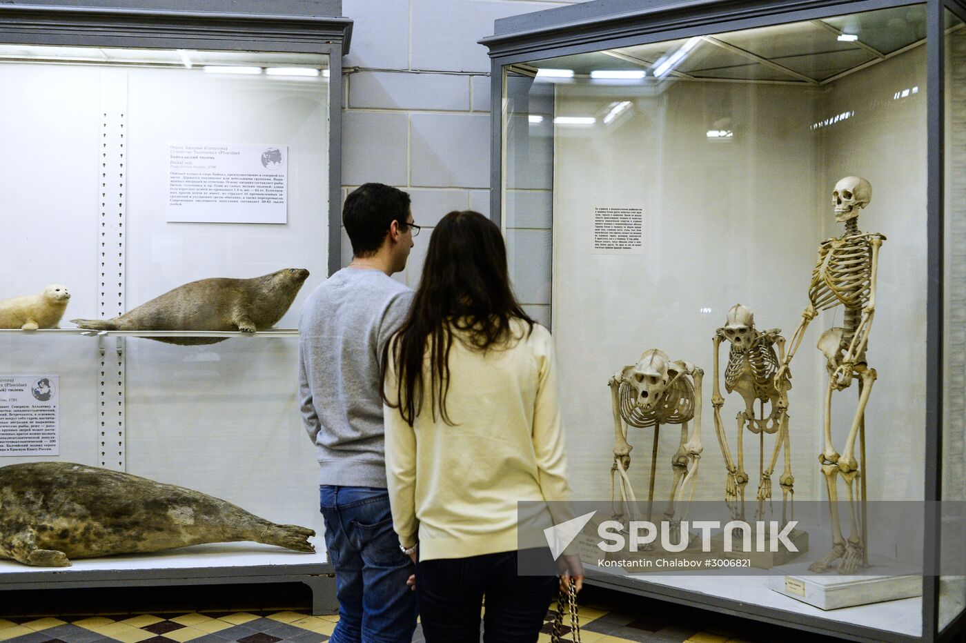Zoology Museum