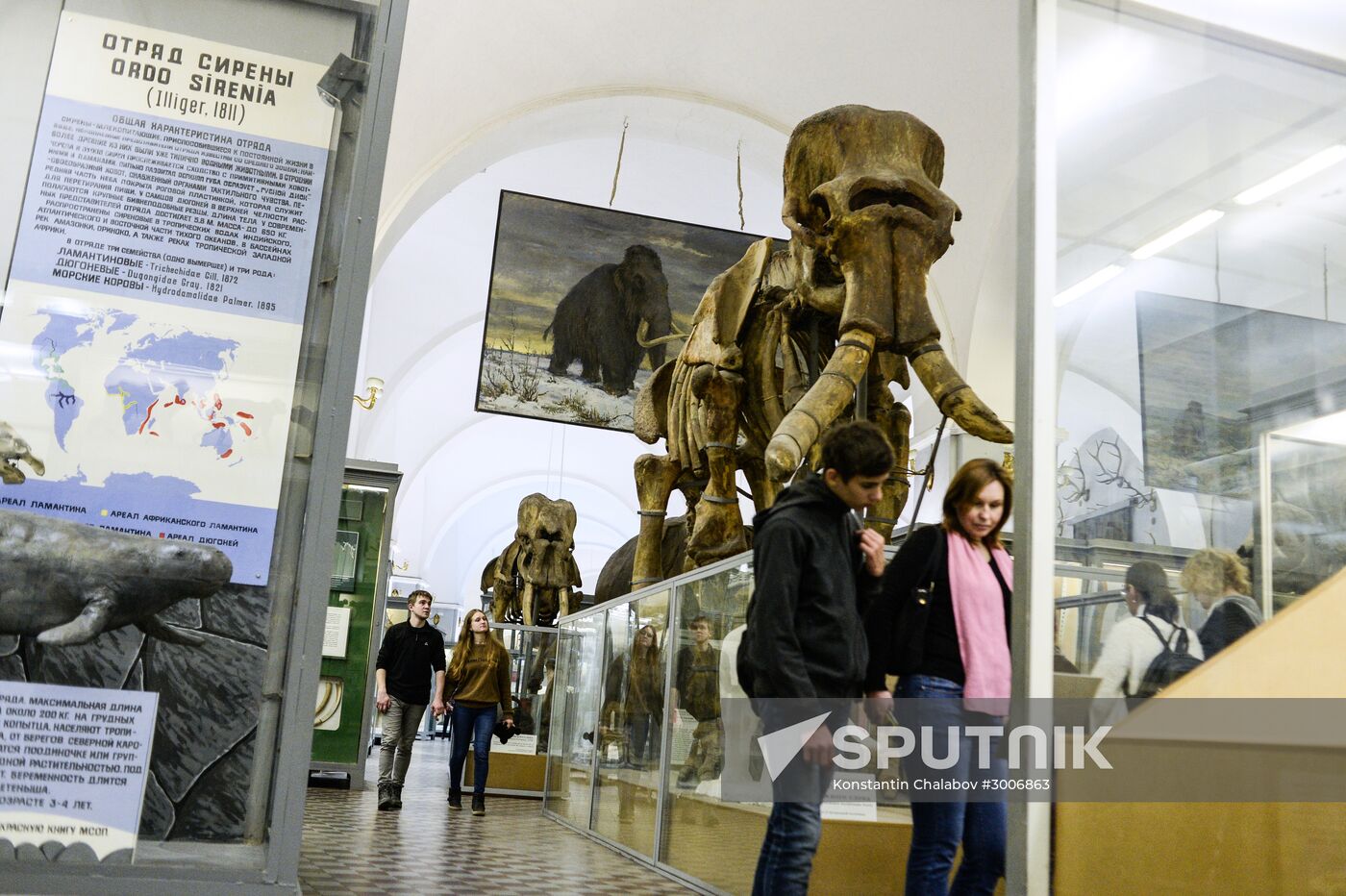 Zoology Museum