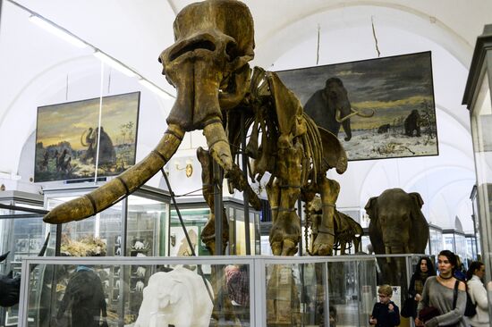Zoology Museum