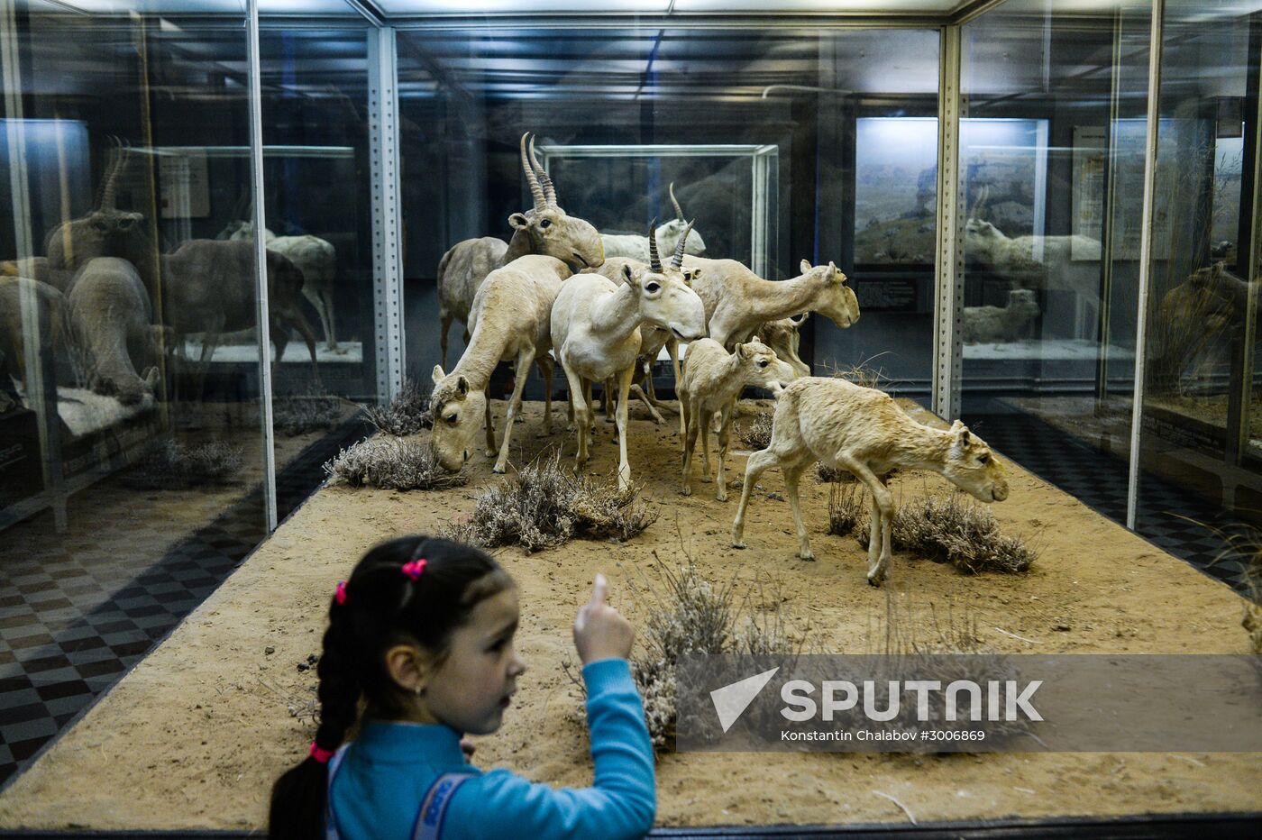 Zoology Museum
