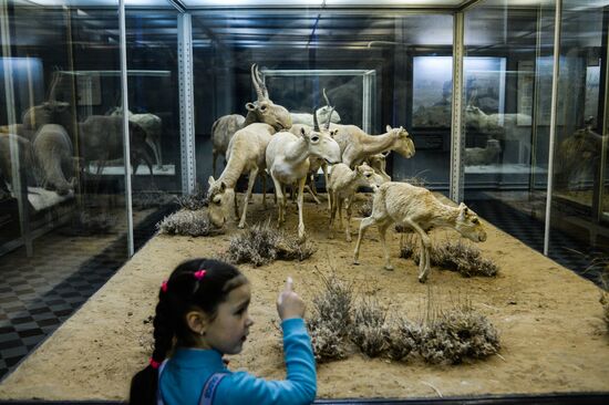 Zoology Museum
