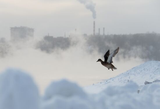 Abnormally cold weather in Moscow