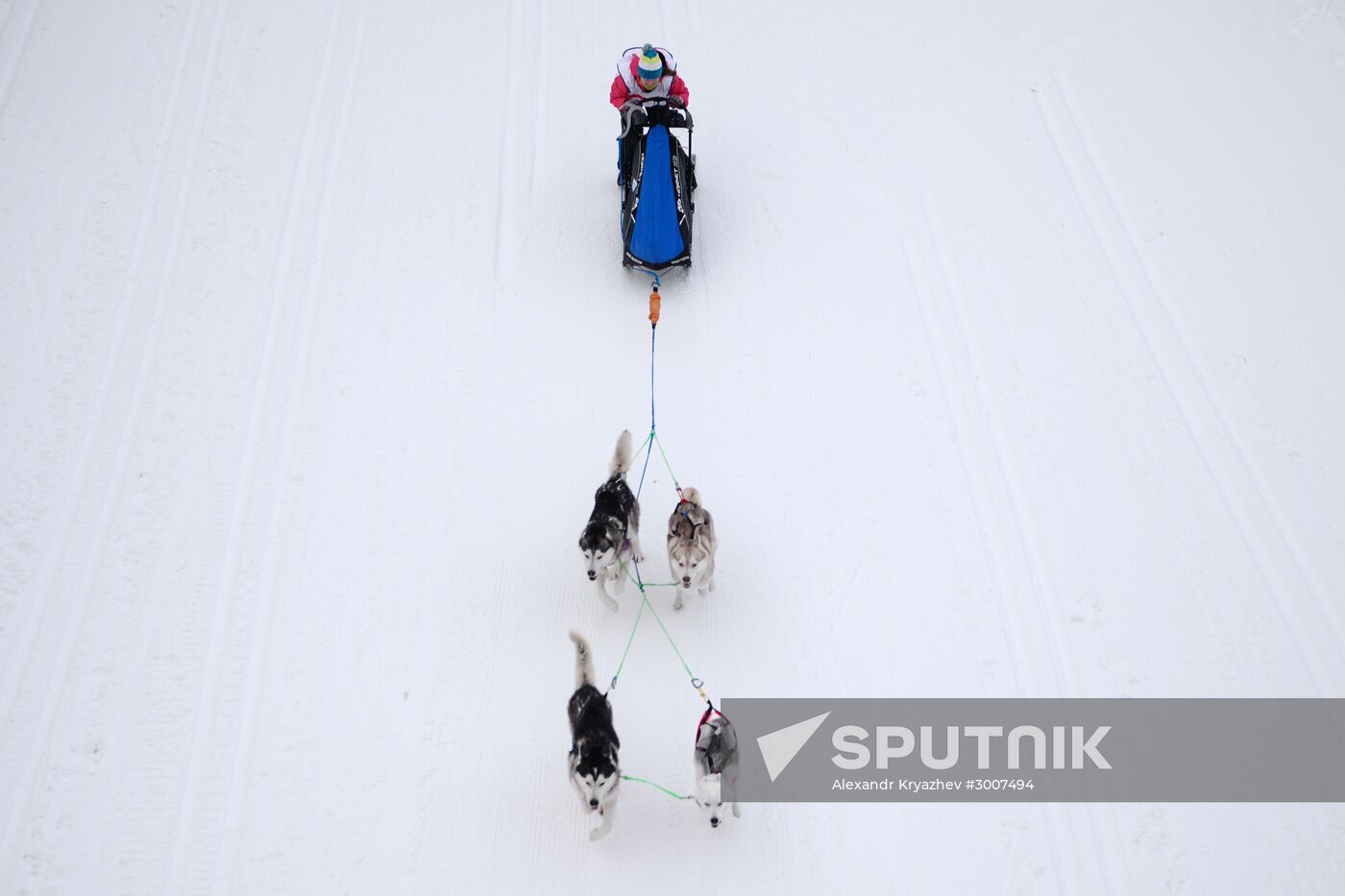 Christmas Ride 2017 sleddog competition in Novosibirsk Region