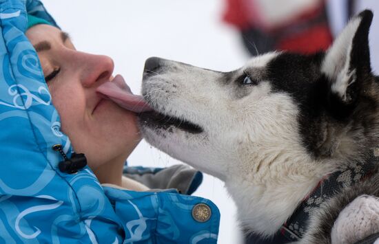 Christmas Ride 2017 sleddog competition in Novosibirsk Region