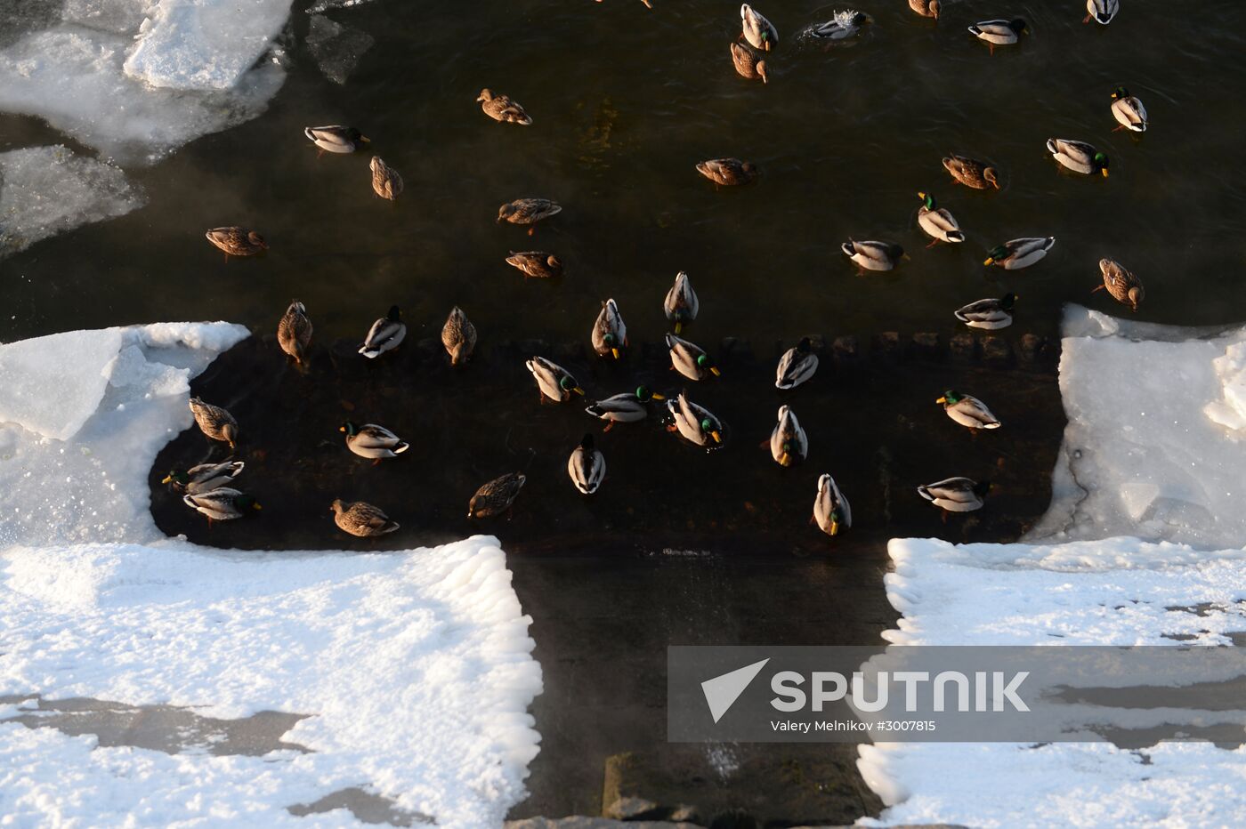 Freezing temperatures in Moscow