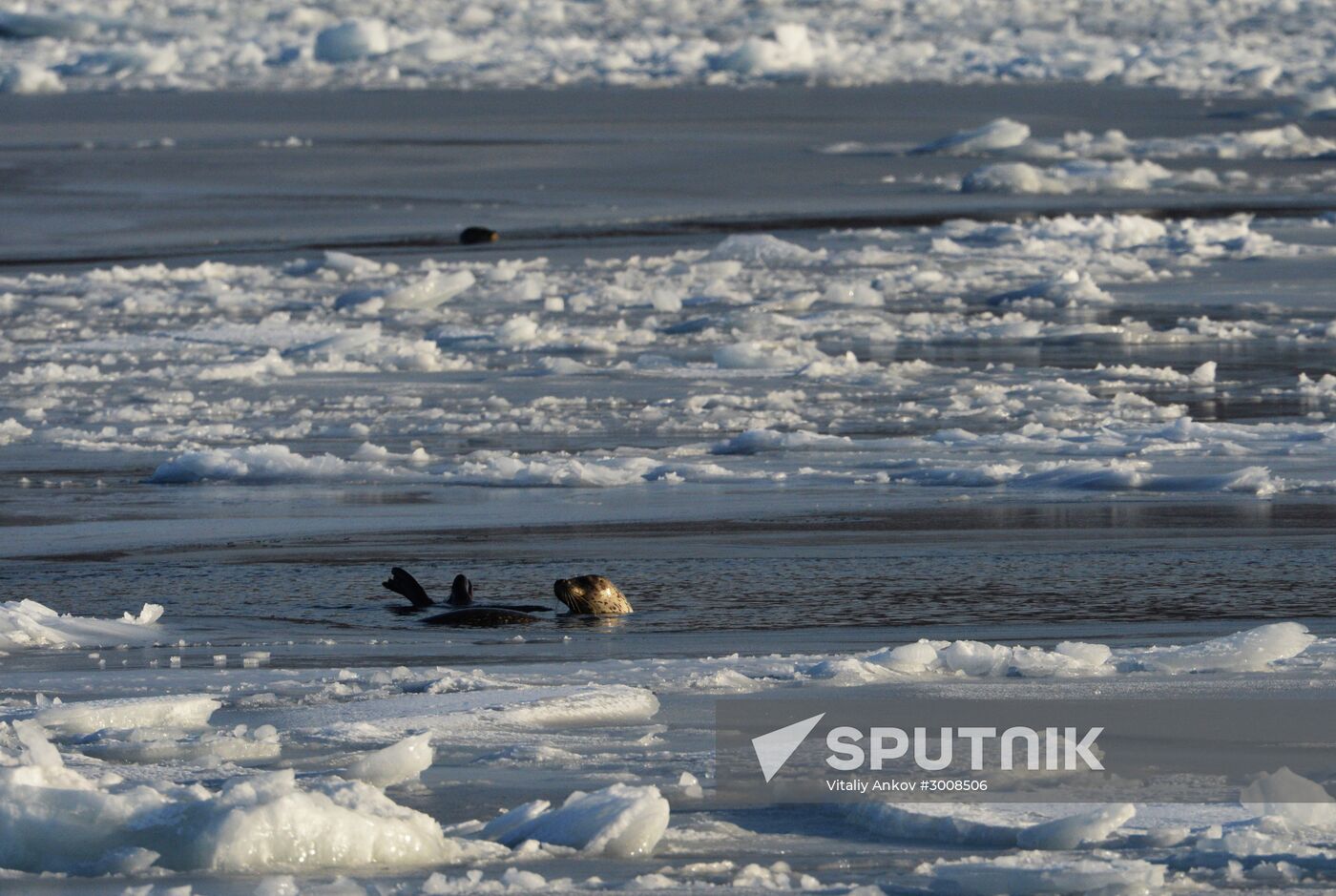Tough ice situation in Vladivostok waters
