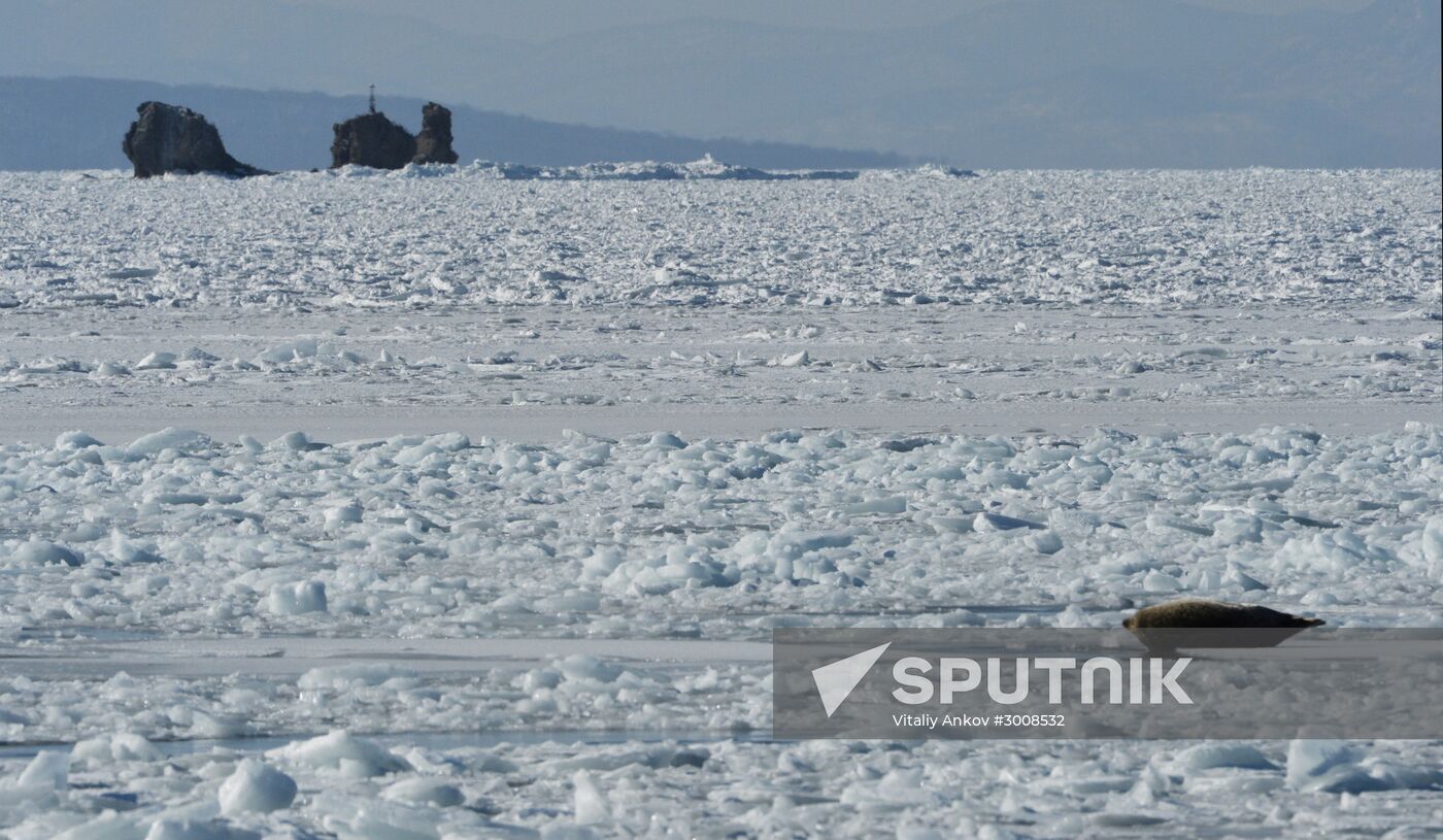 Tough ice situation in Vladivostok waters