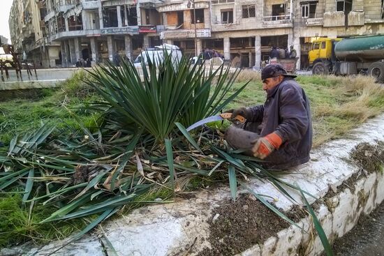 Aleppo update