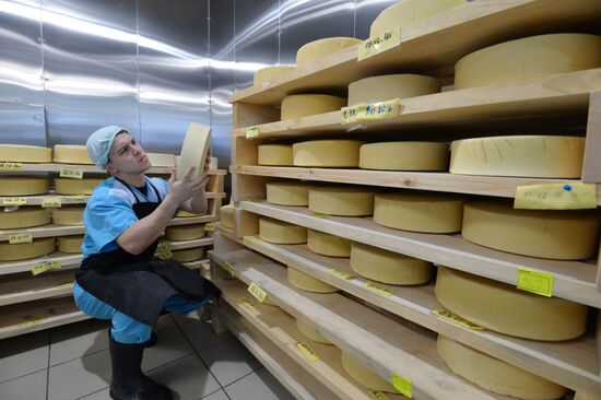 Cheese production at Dalmatovo Assumption Monastery in Kurgan Region