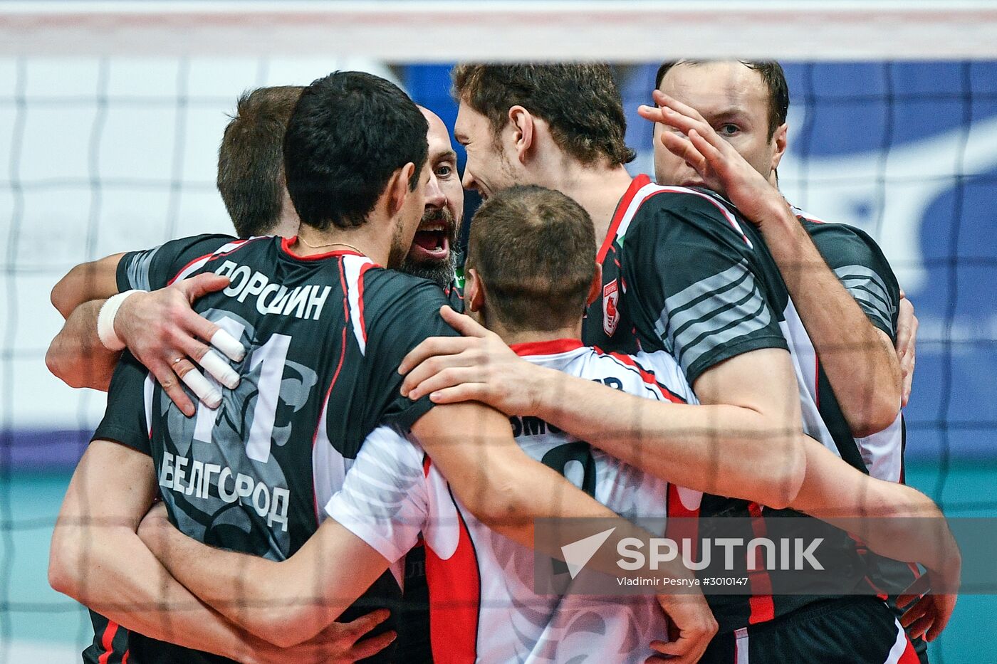 Russian Volleyball Super League. Men. Dynamo (Moscow) vs. Belogorie