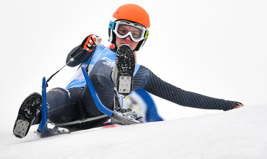 Natural Track Luge World Cup Moscow. Day 3