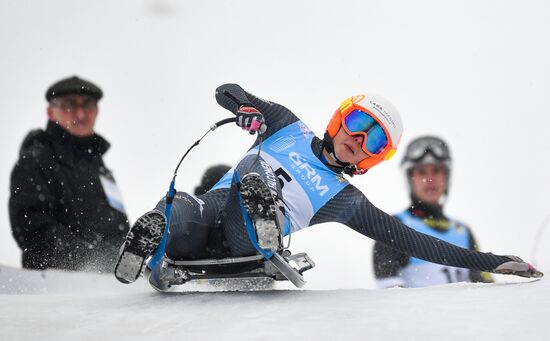 Natural Track Luge World Cup Moscow. Day 3