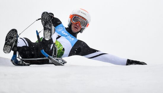 Natural Track Luge World Cup Moscow. Day 3