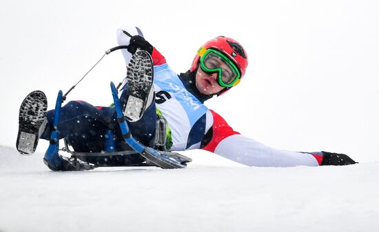 Natural Track Luge World Cup Moscow. Day 3