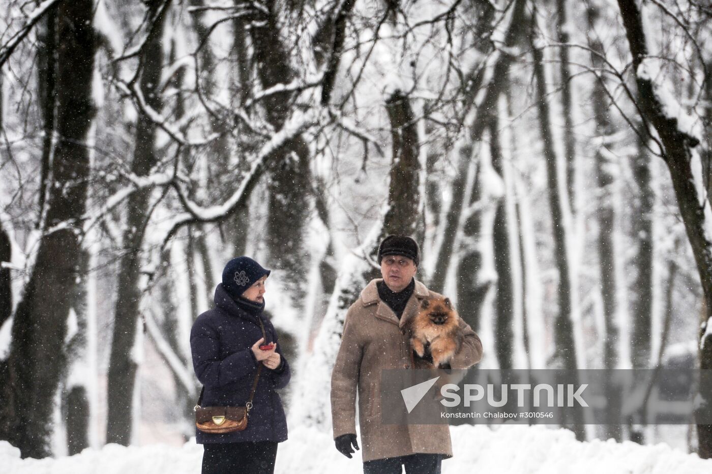 Winter in Veliky Novgorod