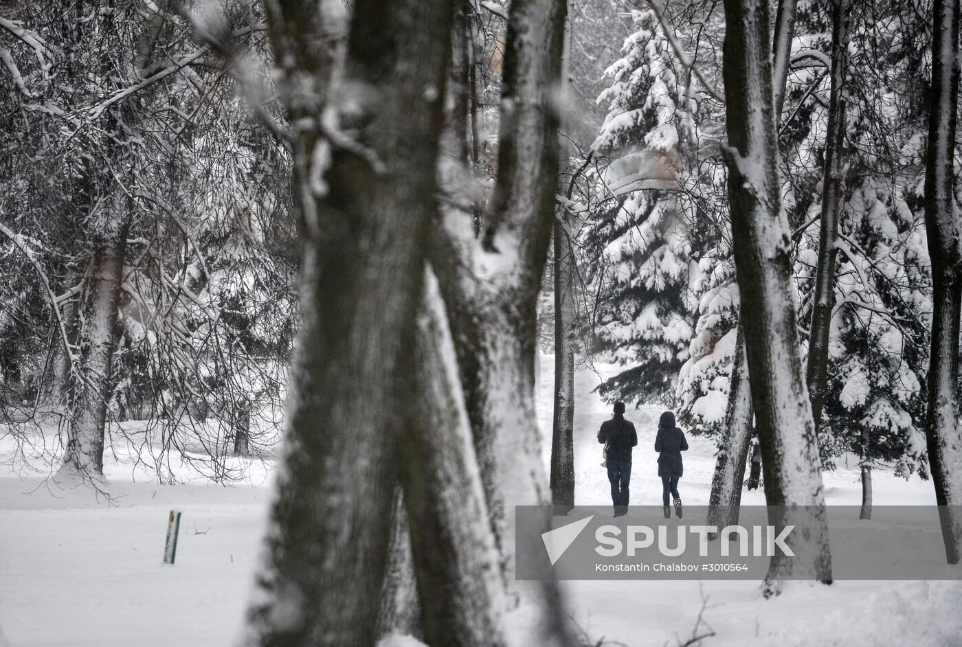 Winter in Veliky Novgorod