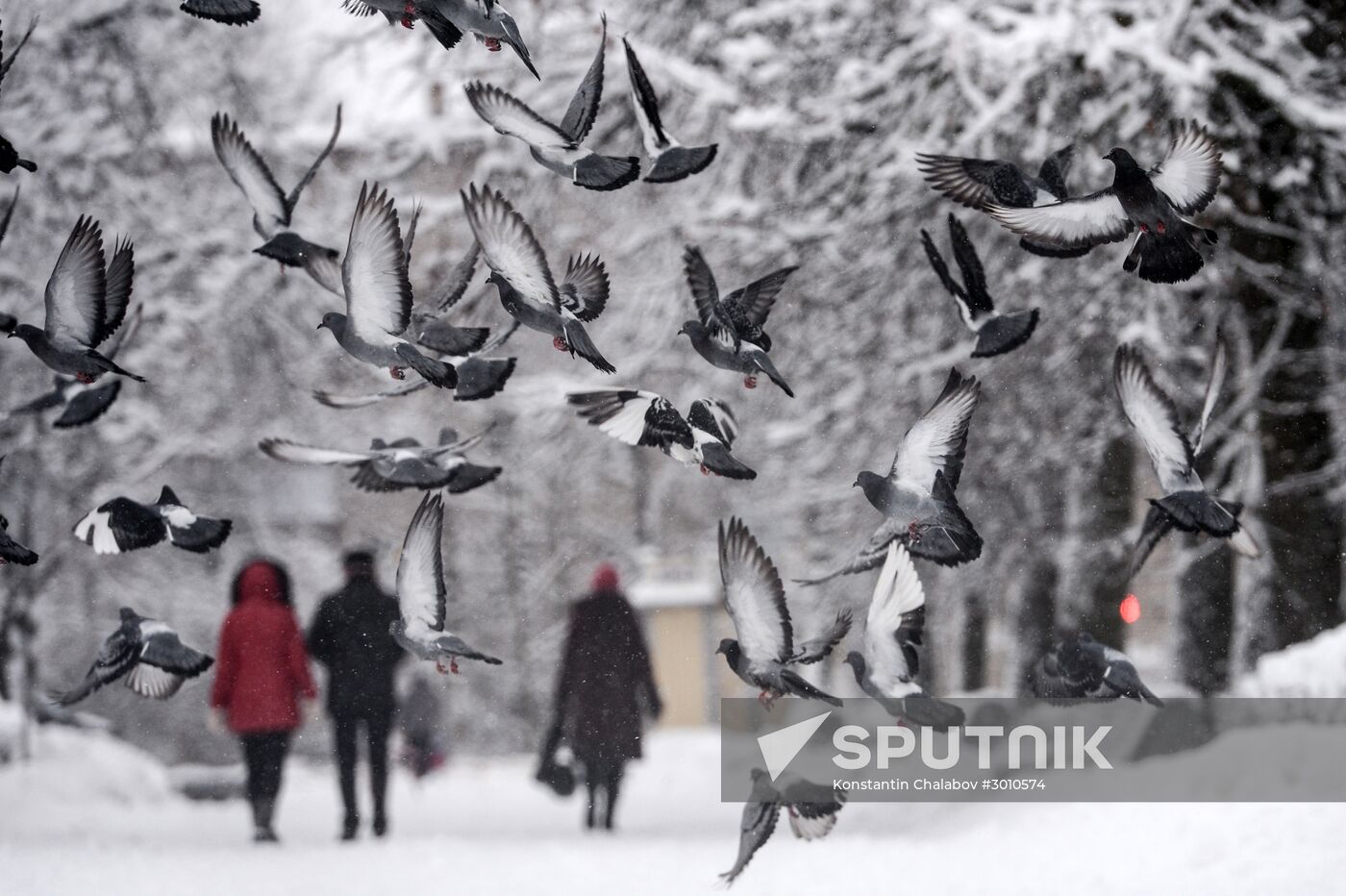 Winter in Veliky Novgorod