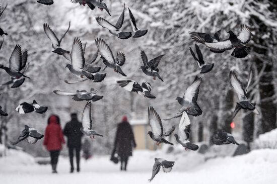 Winter in Veliky Novgorod