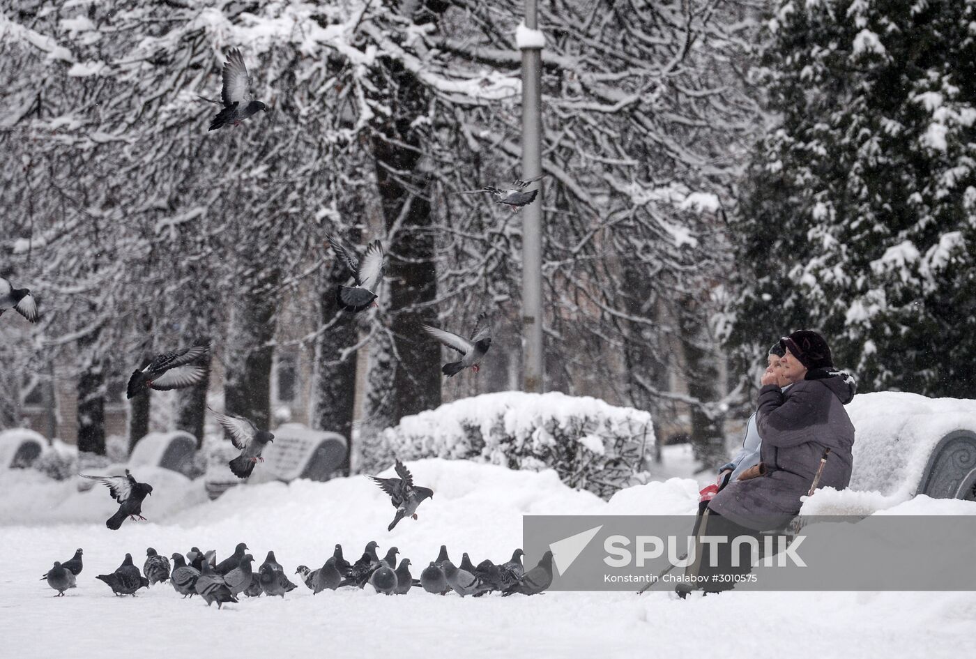 Winter in Veliky Novgorod