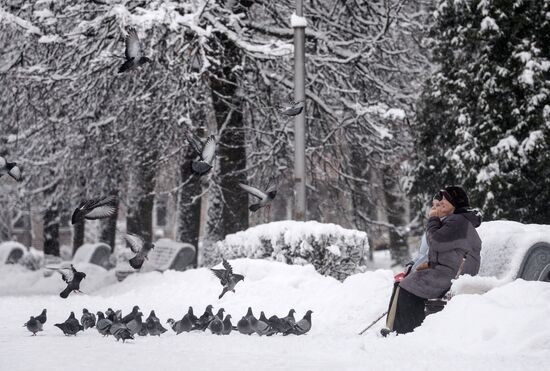 Winter in Veliky Novgorod