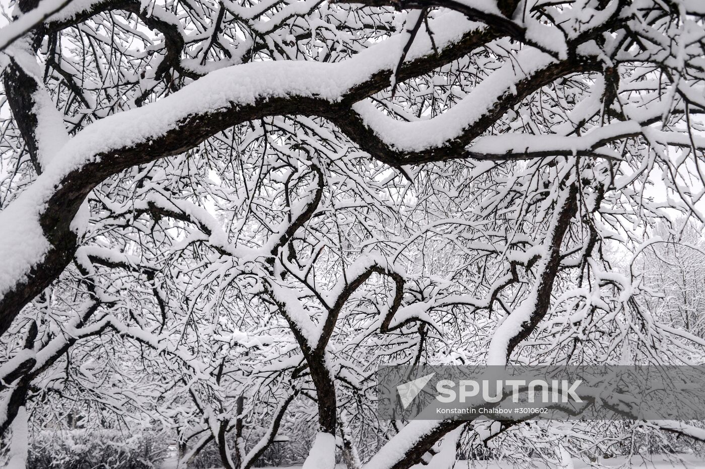 Winter in Veliky Novgorod