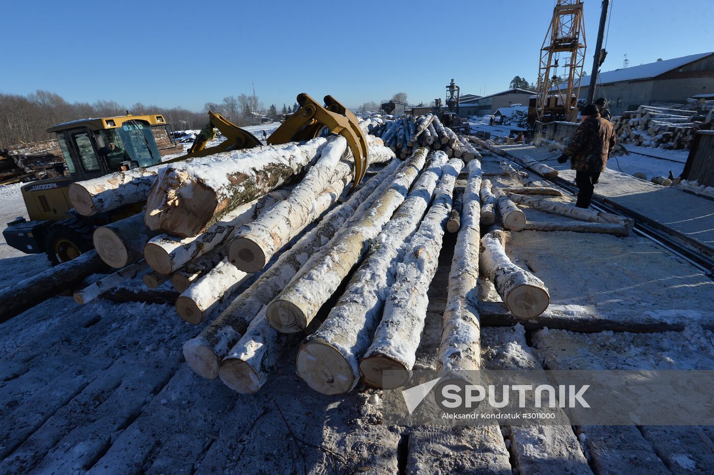Logging in Chelyabinsk Region