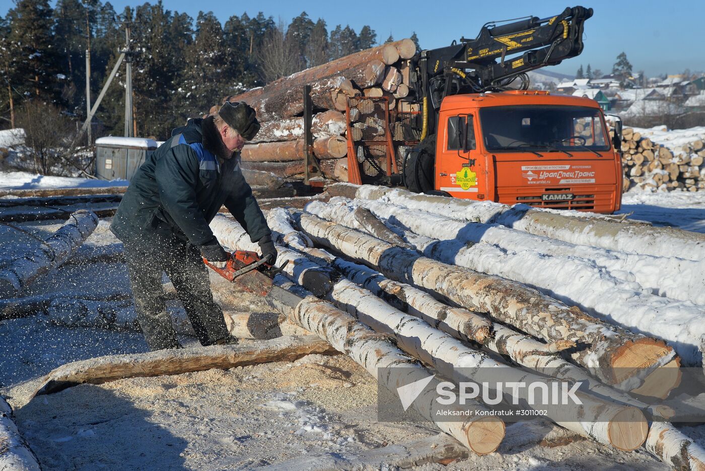 Logging in Chelyabinsk Region