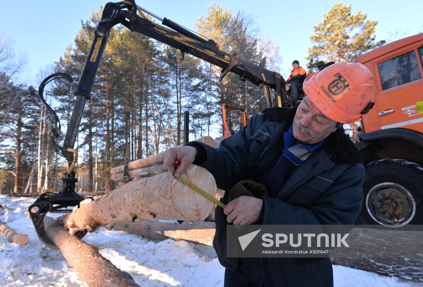 Logging in Chelyabinsk Region