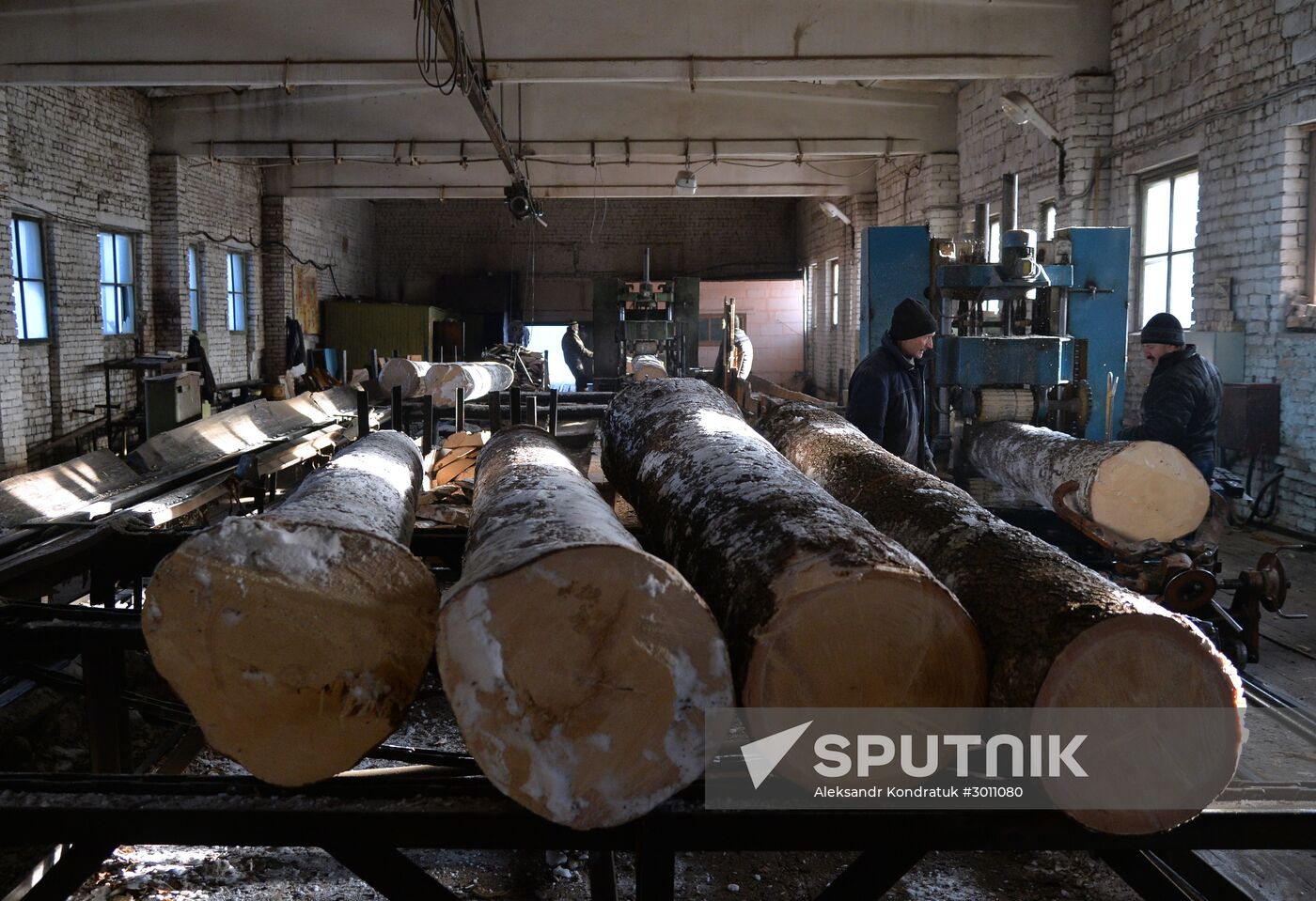 Logging in Chelyabinsk Region